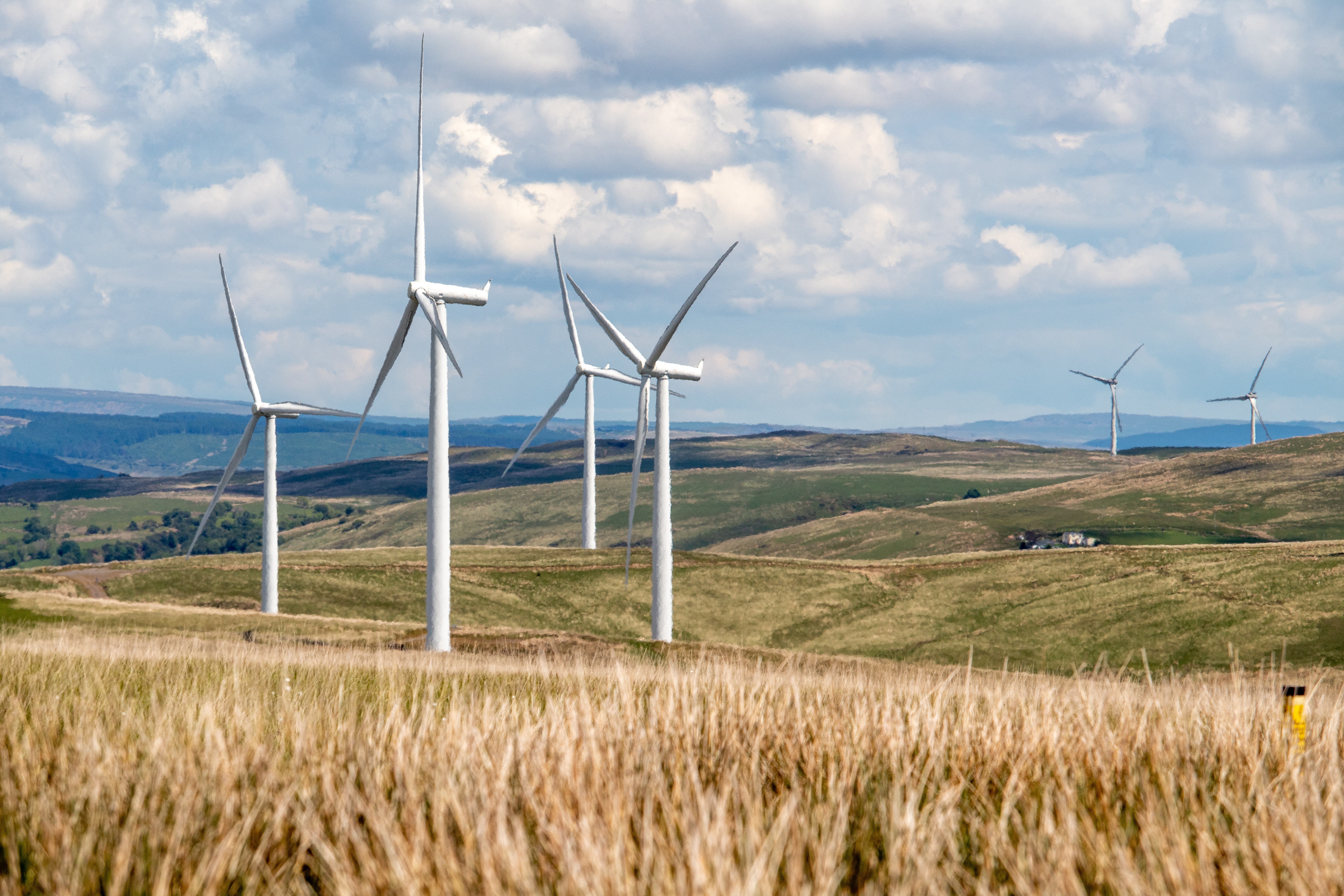 Energia X IA:  como pesquisas acadêmicas unem energia solar e inteligência artificial