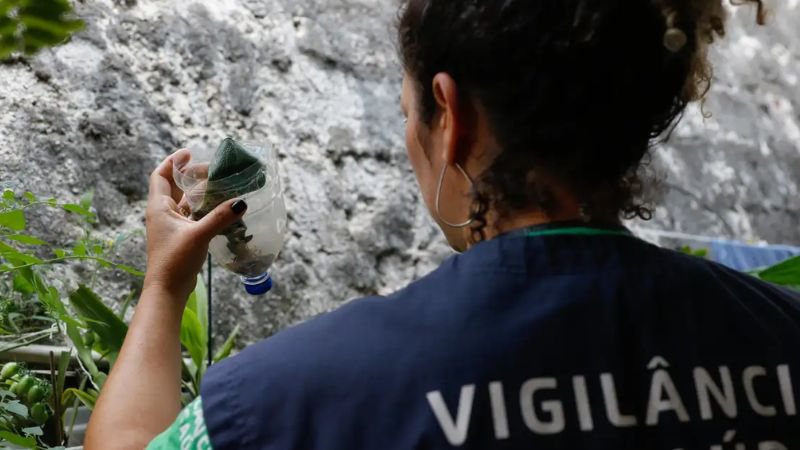 Casos de chikungunya disparam mais de 300% na Bahia; veja cidades mais atingidas