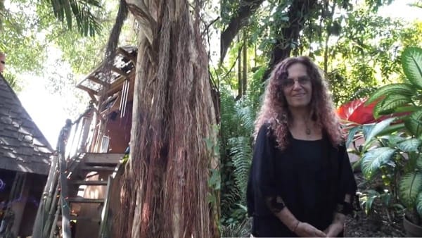 Ela morou 17 anos em cima de uma árvore. E teve que desmontar tudo